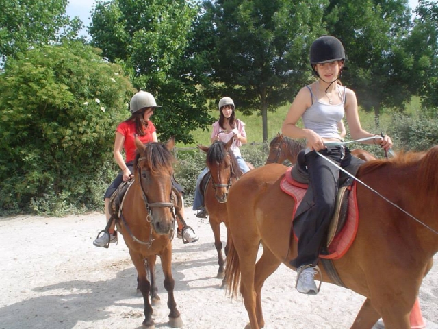 Paseos a caballo
